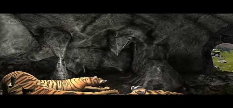 Jungle (Zoo) VR 360 video